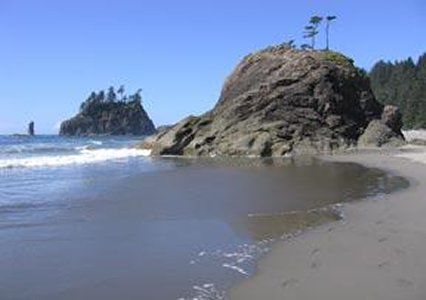 Hotel Quality - Near Olympic National Park