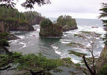 Quality - Near Olympic National Park Port Angeles